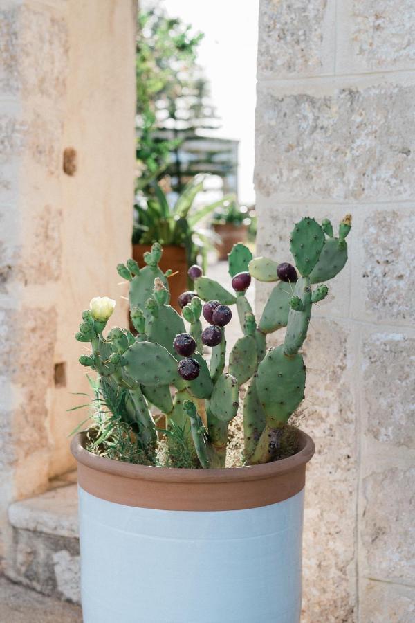 Maison d'hôtes Masseria San Martino à Fasano Extérieur photo