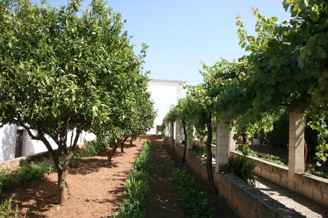 Maison d'hôtes Masseria San Martino à Fasano Extérieur photo