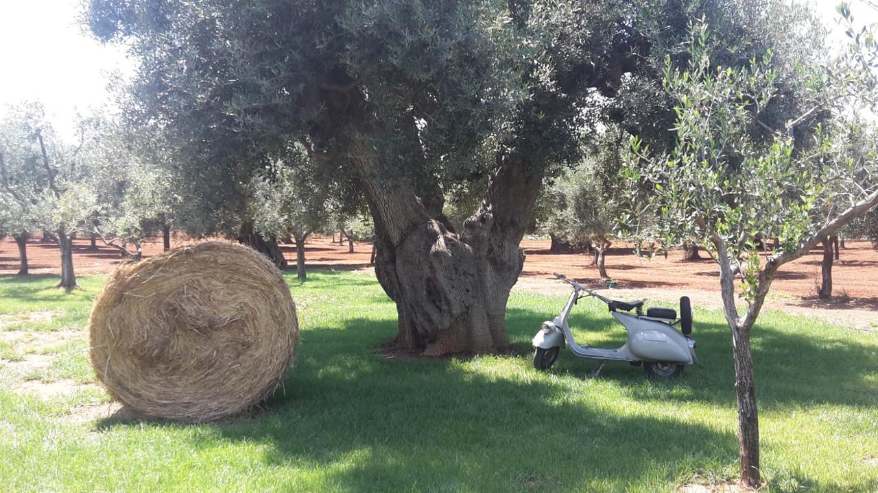 Maison d'hôtes Masseria San Martino à Fasano Extérieur photo